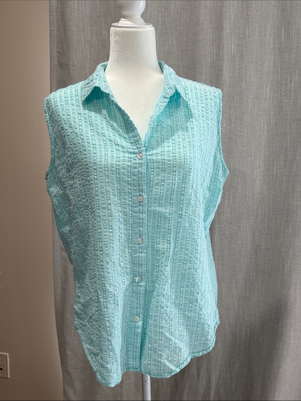 Natural Reflections Sleeveless Button-Down Top in Light Aqua